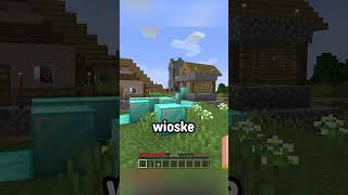 MINECRAFT, ale WSZYSTKO NA CO SPOJRZĘ, ZAMIENIA SIĘ W DIAMENT! #shorts