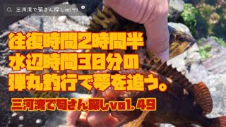 【三河湾　ロックフィッシュ】往復時間2時間半水辺時間30分の弾丸釣行で尺越えタケノコメバルを追う。