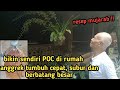 SIMPEL, MUDAH DAN BERAKIBAT SUBUR || POC INI BIKIN ANGGREK GAGAL DIET, BIKIN YUUKKK !!!