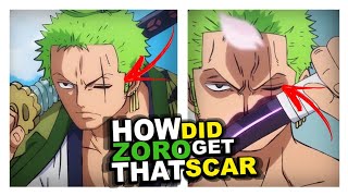 How did zoro get that scar in hes eye?