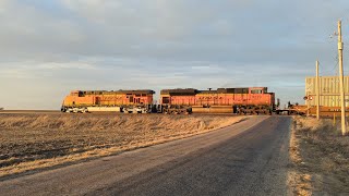 7746 Leads a westbound BNSF Intermodal Jan 27, 2025.