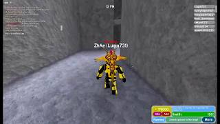 The Labyrinth Exit Of The Maze Robloc Sky Sick - 