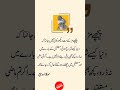 Molana rumi quotes || best urdu quotes || motivational quotes || #shorts #motivationalquotes