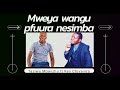 Mweya wangu pfuura nesimba -Taziwa Mbwizhu ft Rev Chivaviro
