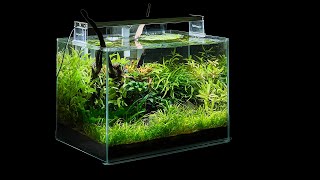 LOW TECH AQUASCAPING AT ITS BEST!! (4K)