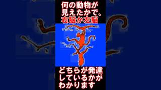 あなたの右脳・左脳どちらが発達しているかわかります