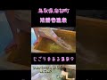 温泉女子ぽちゃん 法勝寺温泉 空の見える日帰り貸切家族風呂に入浴 ショートバージョン鳥取県西伯郡南部町 温泉女子 onsengirls 온천 vlog shorts