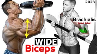 7 BEST Exercises for WIDER BICEPS