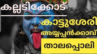 കല്ലടിക്കോട് ശ്രീ  കാട്ടുശേരി അയ്യപ്പൻക്കാവ്   താലപ്പൊലി മഹോത്സവം 2019