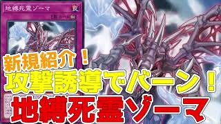 新規紹介！地縛死霊ゾーマ！攻撃誘導でバーンの罠モンスター！！！【遊戯王】