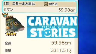 【キャラバンストーリーズ　PS4】まったり50回目はイエ島で釣り人が１００回釣りをしたらミミジャーは何匹釣れるでしょうか？