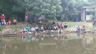 MANCING LUCU \