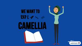 Camellia Encryption Algorithm