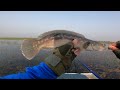 a lots of big snakehead fish caught at tonle sap lake ខ្នាតគីឡូ រ៉ស់​​​​​ ដៀប ចេញខាំធំៗណាស់