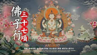 佛子行三十七頌/佛子行/Thirty-Seven Bodhisattva Practices/四臂觀音