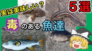 毒があるけど、美味しい魚達　5選