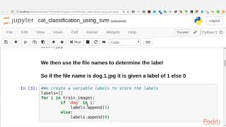 Python Machine Learning in 7 Days: Review Classifying Img Using Vector Machines|packtpub.com