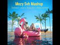 Salamist Lewa x Snapchat x Party Animal (Mozy Svh Mashup ReMix)