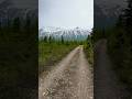 The road to Castner Glacier. #shorts #hike #beautiful #nature #countryroads #alaska