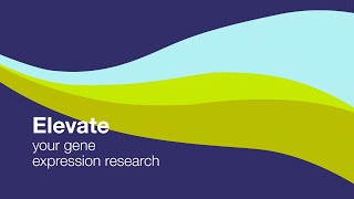 Gene expression promotion video