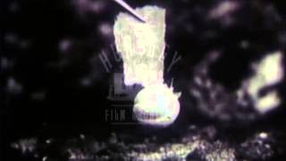 Seed Dispersal by Animals, 1940's - Film 7804