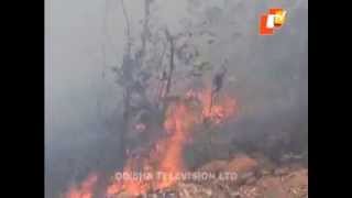 SIMILIPAL FIRE UNCONTROL