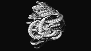 snakes processing sketch (zoom out) loop animation