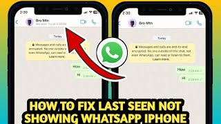 How To Fix WhatsApp Last seen Not Showing in whatsapp iPhone 2024