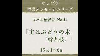 ヨハネ福音書 No.44「主はぶどうの木（幹と枝）」