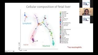 Decoding the Developing Human Immune System, Muzlifah Haniffa - IRC5 Webinar, April 2021