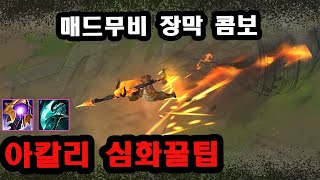 [롤] 피지컬도 길러집니다. 천상계 장인들의 리워크 아칼리 꿀팁