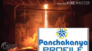 How did Panchakanya Group earn rs 10 billion per years.Panchakanya secret strategic and Success.