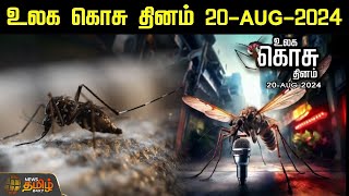 உலக கொசு தினம் 2024 | World Mosquito Day | NewsTamil24x7