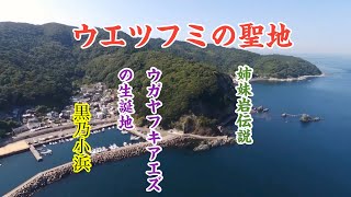 【ウエツフミの聖地】黒乃小浜　ウガヤフキアエズの命生誕地　大分県大分市佐賀関　黒の小浜　姉妹岩伝説