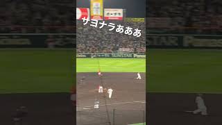 4月18日阪神タイガースサヨナラの瞬間　#阪神タイガース　#中野拓夢 #甲子園　#サヨナラ