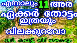 11അര ഏക്കർ തോട്ടം വൻ വിലക്കുറവിൽ വീടോട് കൂടി വഴി,കറന്റ്‌ സൗകര്യം😍