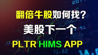 美股 下一个PLTR HIMS APP如何找？他们都有什么共同点？