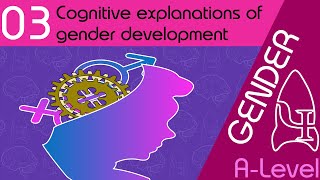 Cognitive explanations of gender development  - Gender [AQA ALevel Psychology]