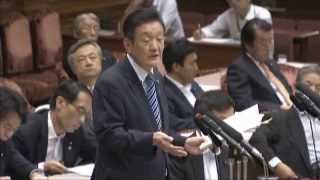 2015 09 02　参議院我が国及び国際社会の平和安全法制に関する特別委員会