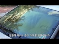 stinger 스팅거 quantum windshield smi