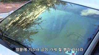 Stinger 스팅거 Quantum Windshield smi