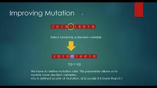 12 -Genetic Algorithm: Improving Mutation