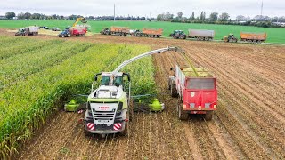 ‼️BIG corn silage 🌽| 3 ensileuses \u0026 32 rangs !!