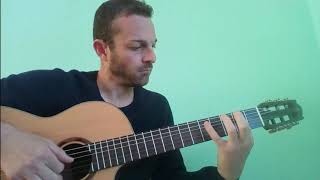 Sally [Vasco Rossi] - Fingerstyle Solo Guitar by Antonello Capuano