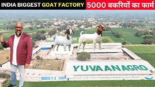 ऐसा बकरी फार्म अपने नहीं देखा होगा I 5000 बकरियों का फार्म I India Biggest Goat Factory