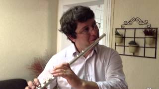 Embouchure and First Sound on the Transverse Flute by Nilson Mascolo