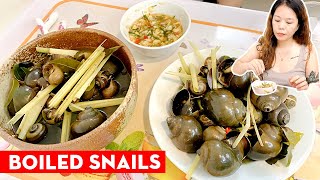 How to Make Boiled snails for Food | Healthy Seafood Dish | Food And Travel Review.