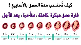 حساب فترة الحمل وموعد الولادة | طريقة حساب أسابيع الحمل