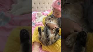 八戒墩，你想说什么？猫与人类幼崽 情绪好稳定的小猫 猫咪带娃有趣视频 萌娃和萌宠 这个猫头好上头