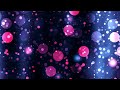 circular purple u0026 pink particles moving 4k relaxing screensaver